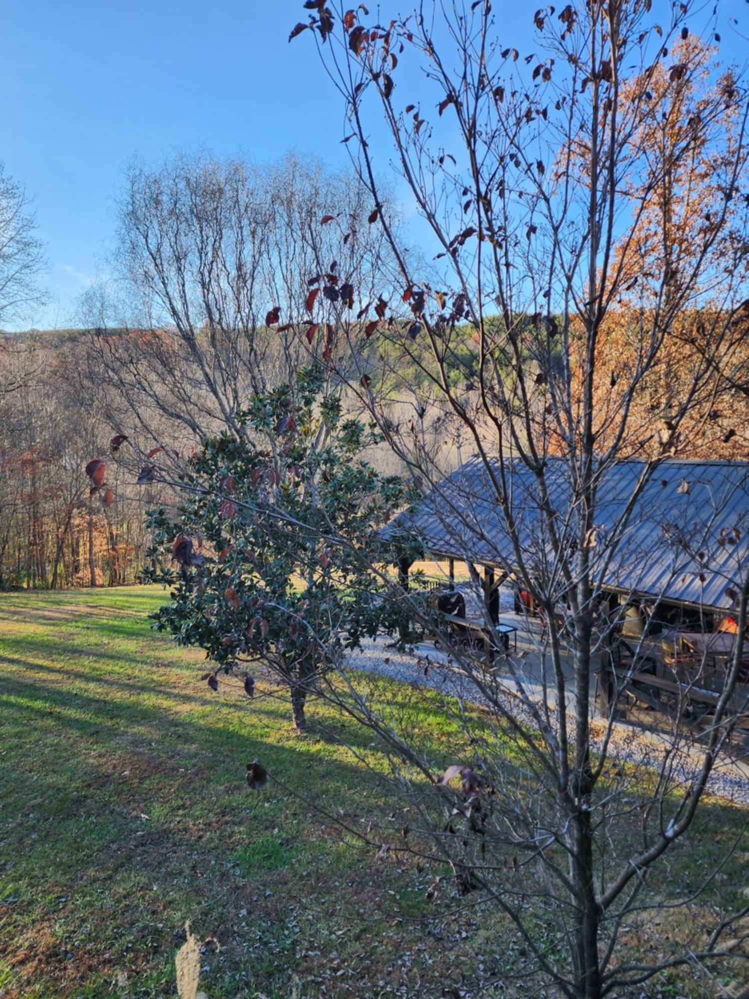 Lodge At Tellico Tellico Plains Kültér fotó